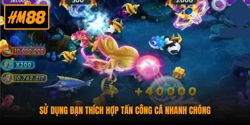Sử dụng đạn thích hợp tấn công cá nhanh chóng