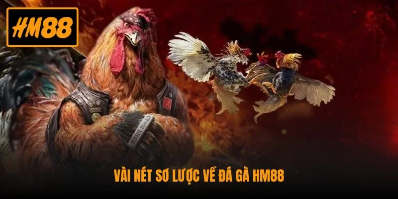 Vài nét sơ lược về đá gà HM88