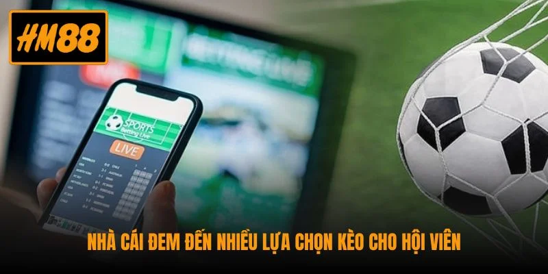 Nhà cái đem đến nhiều lựa chọn kèo cho hội viên